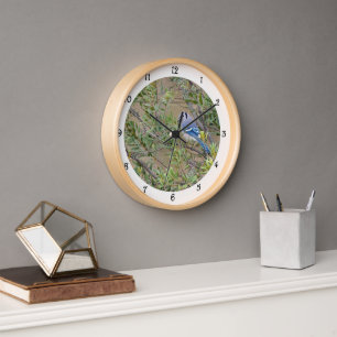 Blaue Jay im südlichen Wachswald Myrtle Wall Clock Uhr