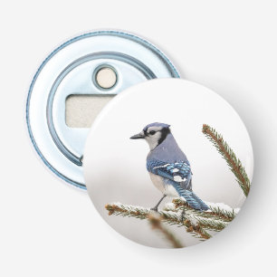 Blaue Jay im Winter Flaschenöffner