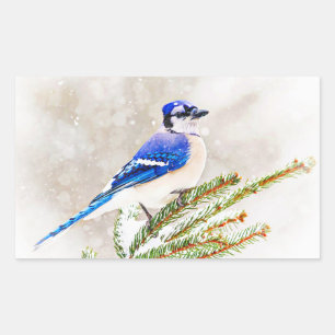 Blaue Jay im Winter Rechteckiger Aufkleber