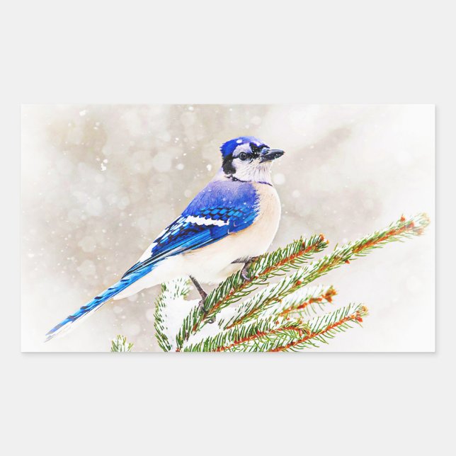 Blaue Jay im Winter Rechteckiger Aufkleber (Vorderseite)