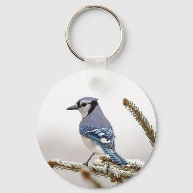 Blaue Jay im Winter Schlüsselanhänger (Vorderseite)