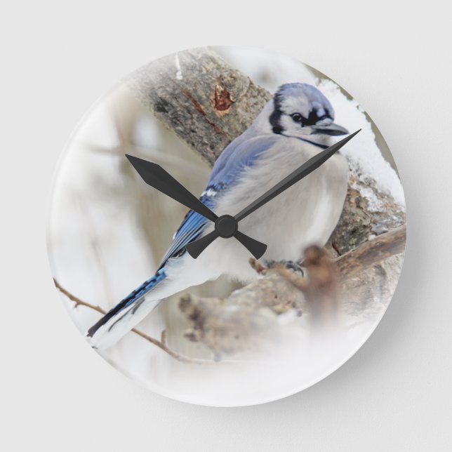 Blaue Jay im Winterschnee Runde Wanduhr (Vorderseite)