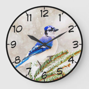 Blaue Jay in einem Kiefernbaum mit Schnee Große Wanduhr