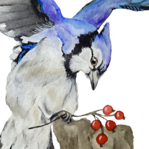 Blaue Jay Kaffeetasse