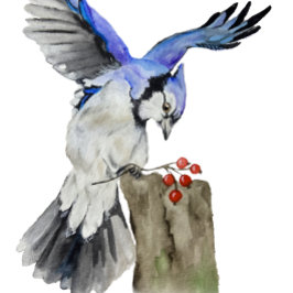 Blaue Jay Keramik Ornament