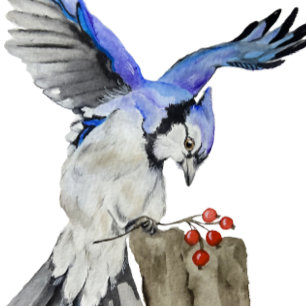 Blaue Jay Kissen