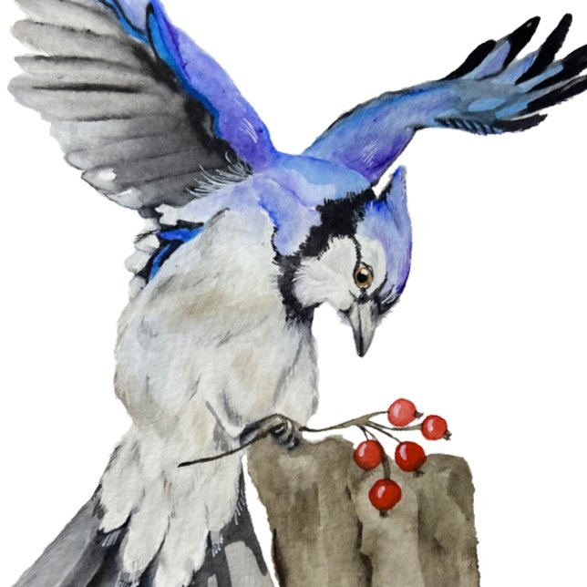 Blaue Jay Kissen (Von Creator hochgeladen)