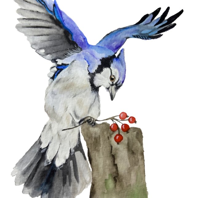 Blaue Jay Leinwanddruck (Von Creator hochgeladen)