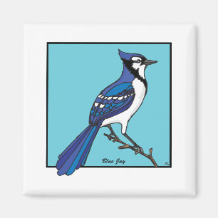 BLAUE JAY MAGNET