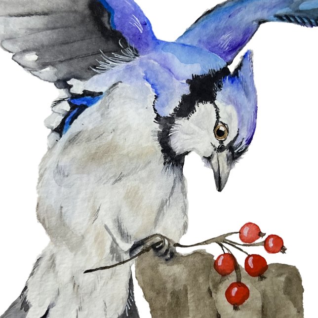 Blaue Jay Magnet (Von Creator hochgeladen)