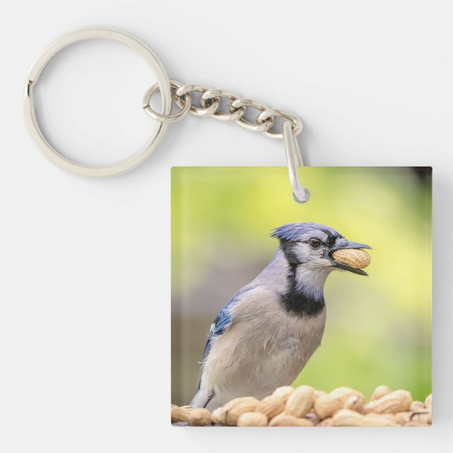 Blaue Jay mit Erdnuss Schlüsselanhänger (Vorderseite)