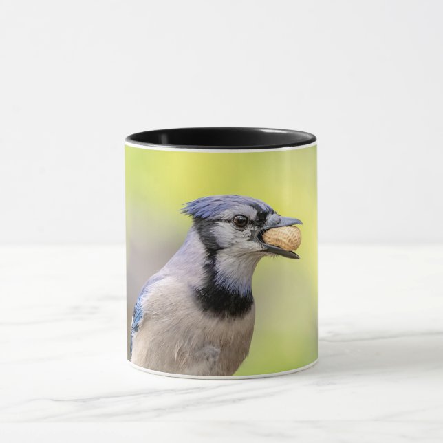 Blaue Jay mit Erdnuss Tasse (Zentrum)
