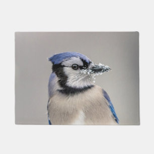 Blaue Jay mit Schnee auf seinem Schnabel Fußmatte