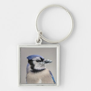 Blaue Jay mit Schnee auf seinem Schnabel Schlüsselanhänger