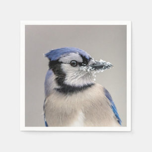 Blaue Jay mit Schnee auf seinem Schnabel Serviette