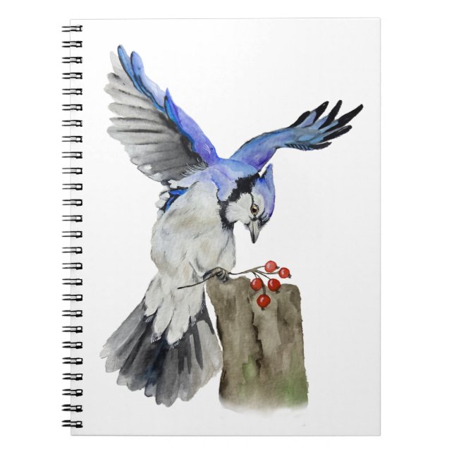 Blaue Jay Notizblock (Vorderseite)