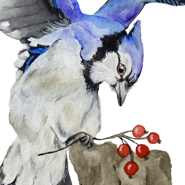 Blaue Jay Planer (Von Creator hochgeladen)