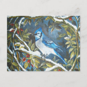 Blaue Jay Postkarte