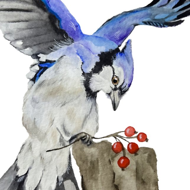 Blaue Jay Runde Wanduhr (Von Creator hochgeladen)