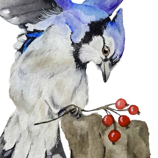 Blaue Jay Schlüsselanhänger (Von Creator hochgeladen)