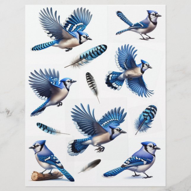 Blaue Jay und Feathers Fussy Cuts (Vorderseite)