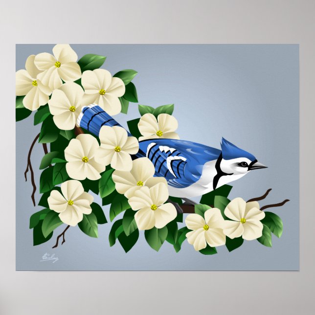 Blaue Jay unter Dogwood-Blume Poster (Vorne)