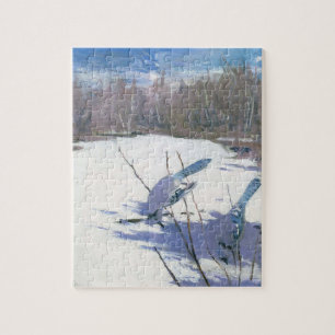 Blaue Jay Vögel in einer Winterlandschaft