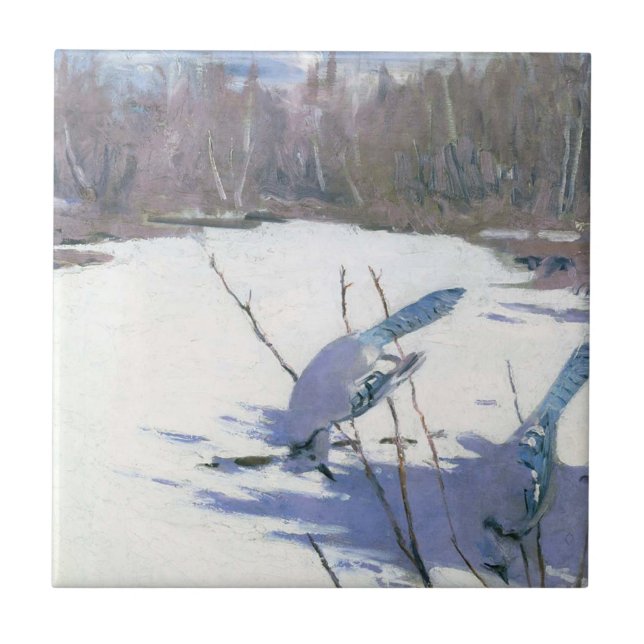 Blaue Jay Vögel in einer Winterlandschaft Fliese (Vorderseite)