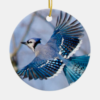 Blaue Jay-Weihnachtsverzierung Keramik Ornament