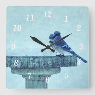 Blaue Jay Winter Fütternd Painterly Wall Clock Quadratische Wanduhr