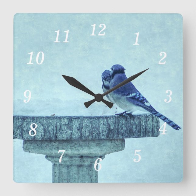 Blaue Jay Winter Fütternd Painterly Wall Clock Quadratische Wanduhr (Vorderseite)