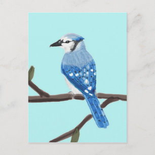 Blaue Jaywatercolor-Malerei-Postkarte Postkarte