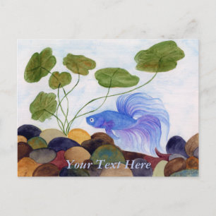 Blaue Kampffisch-Postkarte Postkarte