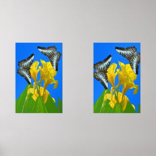 Blaue Kappenschmetterlinge aus Malaysia auf Canna  Bilderwand Sets