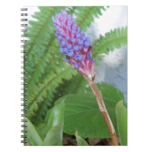 Blaue Kegel-Bromelienblüte Notizblock
