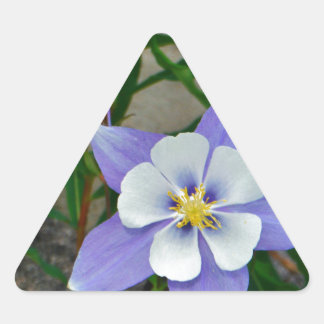 Blaue Kolonne Dreieckiger Aufkleber