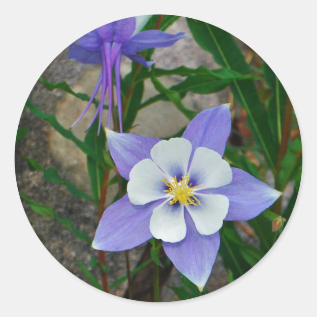 Blaue Kolonne Runder Aufkleber (Vorderseite)
