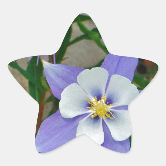 Blaue Kolonne Stern-Aufkleber (Vorderseite)