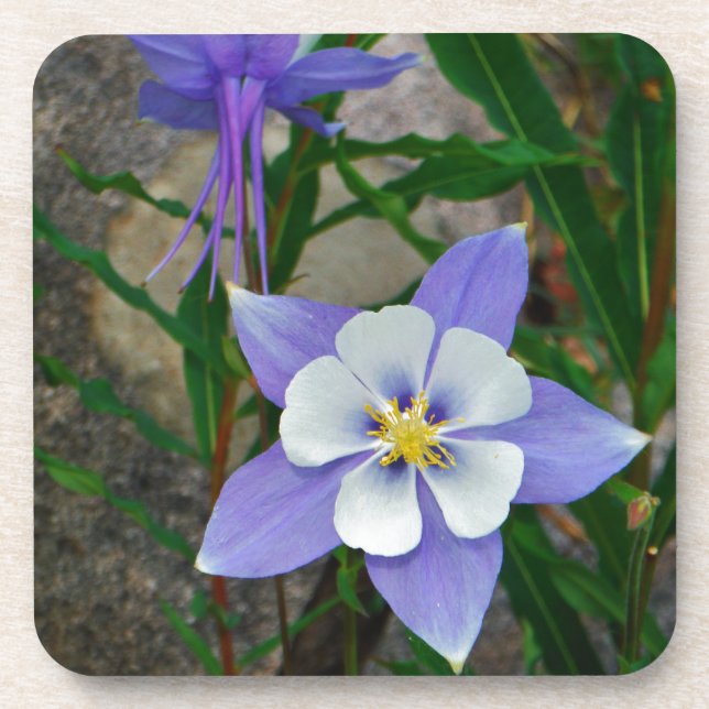 Blaue Kolonne Untersetzer (Vorderseite)