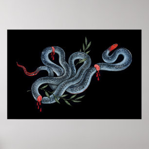 Blaue Korallenschlange 5x7 Zoll bis 8x10 Zoll - Nu Poster