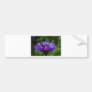 Blaue Kornblumen-Blüten Frieden Liebe Schicksal Autoaufkleber