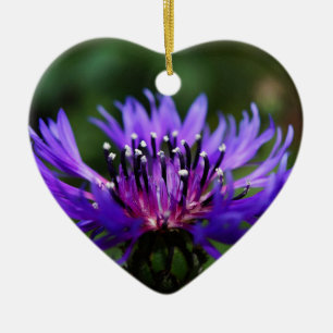 Blaue Kornblumen-Blüten Frieden Liebe Schicksal Keramikornament