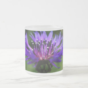 Blaue Kornblumen-Blüten Frieden Liebe Schicksal Mattglastasse