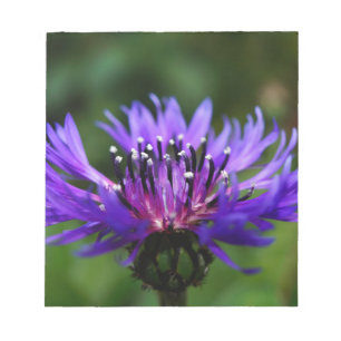 Blaue Kornblumen-Blüten Frieden Liebe Schicksal Notizblock