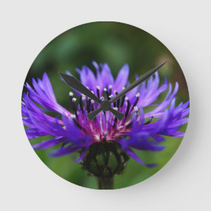 Blaue Kornblumen-Blüten Frieden Liebe Schicksal Runde Wanduhr