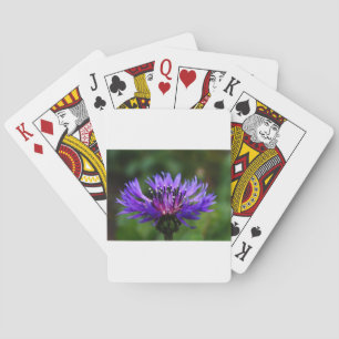 Blaue Kornblumen-Blüten Frieden Liebe Schicksal Spielkarten