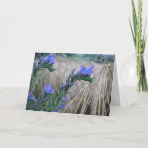 Blaue Kornblumen mit Grußkarte Karte