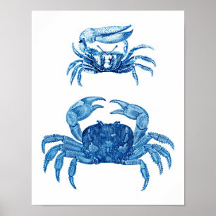 Blaue Krabben-Küstendekor-Kunst-Druck no.3 Poster