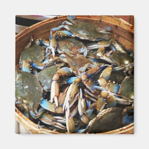 Blaue Krabben-Scheffel Magnet