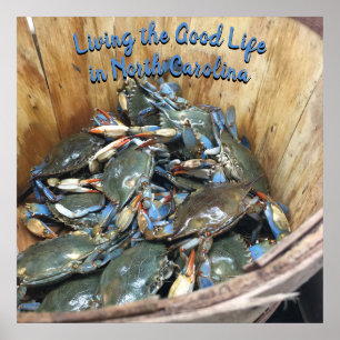 Blaue Krebse - Das gute Leben in North Carolin Poster